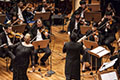 Thailand Philharmonic Orchestra